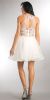 Floral Lace Bodice Short Tulle Homecoming Dress back